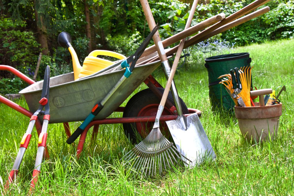 Essential Green Thumb Gear: Gardening Tools Every Beginner Should Own